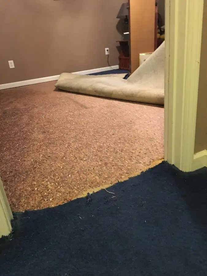 Carpet pad removal revealing water damage during Drying & Dehumidification in Mahwah